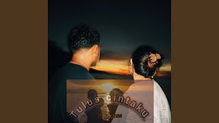 Download Lagu TULUS CINTAKU MP3