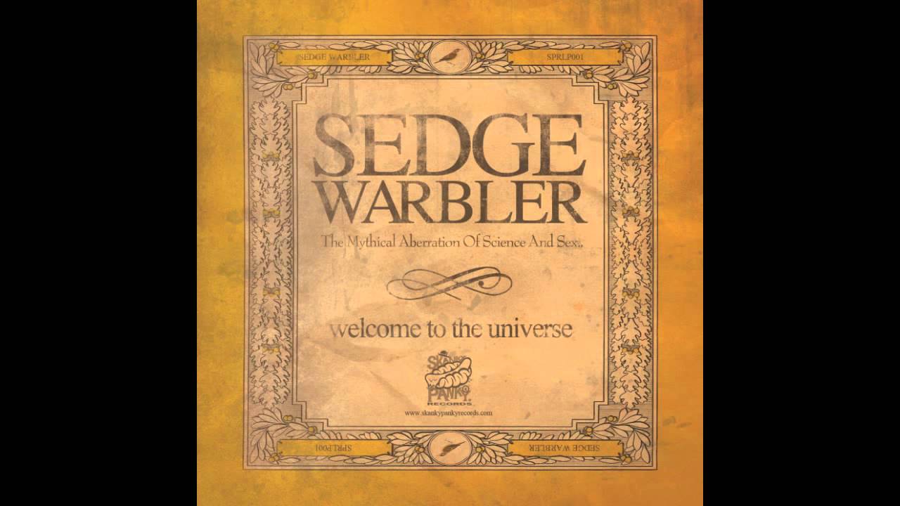 Sedge Warbler Science Girls HD YouTube