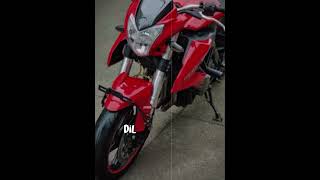 💫BENELLI TnT 600i💗#rider