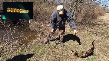nick erny trapping otters with a catch and remake