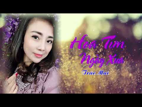 Video Hoa Tím Ngày Xưa || Trúc Mai - youtube