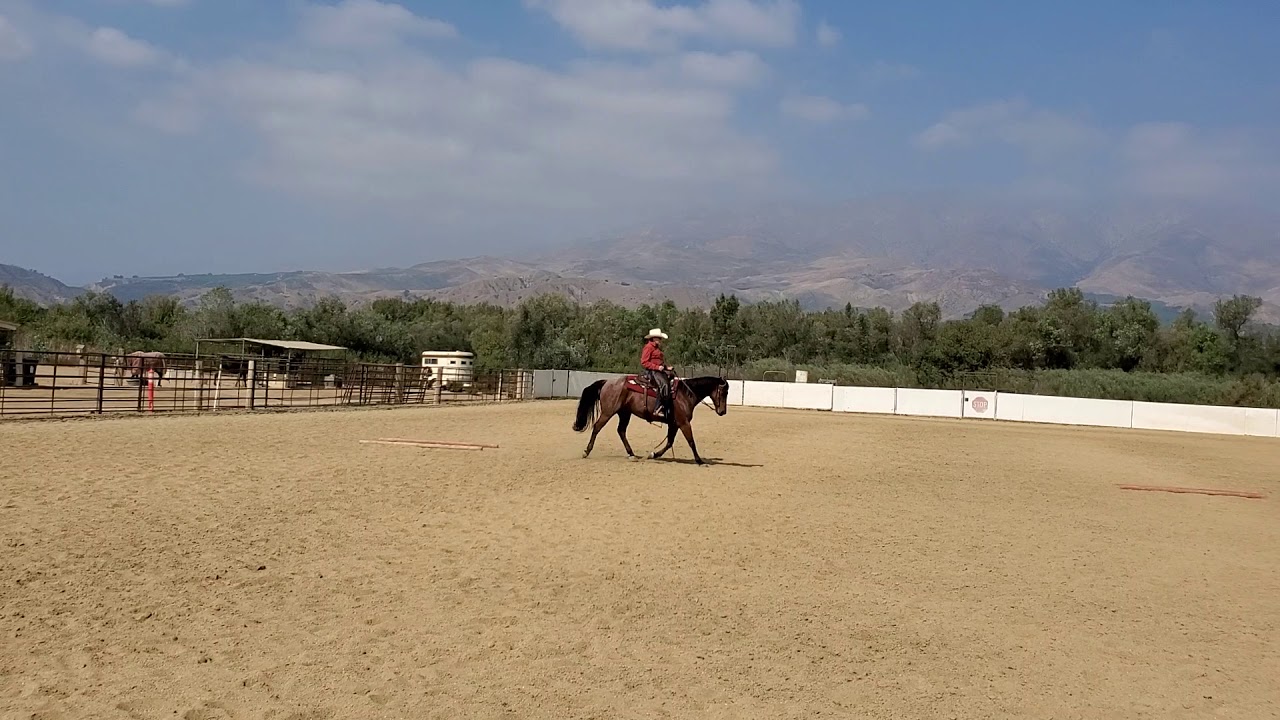 Ranch horse online buckle series October show, Rail class YouTube