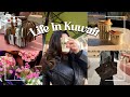Life In Kuwait Vlog Shopping Food Etc فلوق يومي بالكويت شوبنق مطاعم