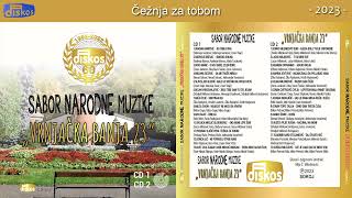 Predrag Vlačić Peđa - Čežnja za tobom - (Audio 2023)