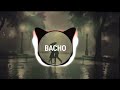 Bacho სიყვარულის განდაგანა Remix