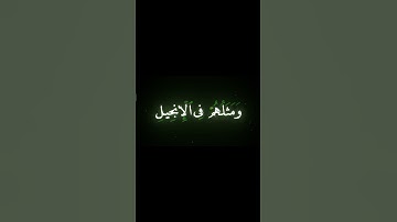 سورة الفتح (الآية 29) - الشيخ / أحمد نعينع . #احمد_نعينع  #سورة_الفتح #قرآن #quran