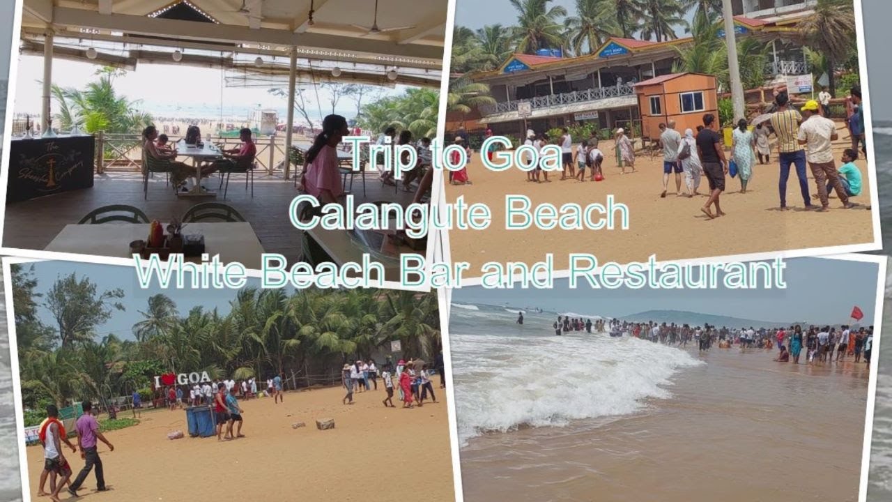 Trip to Goa Calangute Beach White Beach Bar & Restaurant YouTube