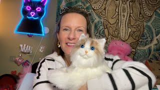 CHONGKER Companion Robot Cat + MeowBox Opening | February 5, 2024