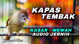 MASTERAN MURAI BATU MEWAH TEMBAKAN KAPAS TEMBAK KASAR SUARA JERNIH COCOK UNTUK ISIAN BURUNG MUDA
