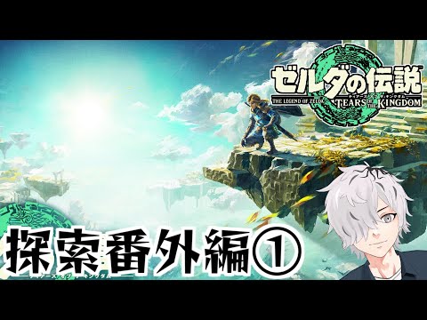 【ゼルダの伝説 ティアーズ オブ ザ キングダム】ゲリラ番外編【ティアキン/病上元気のゲーム生搬送】