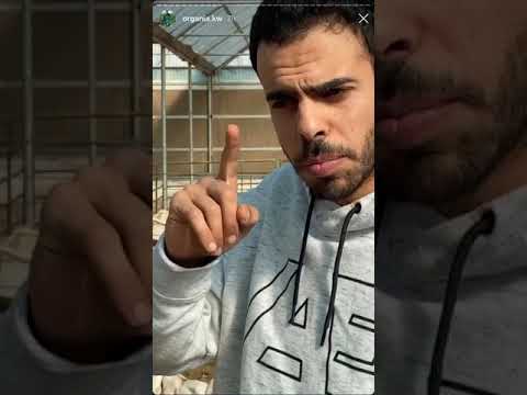تربية الماعز والعلف الصحي