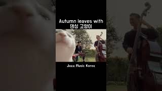 Autumn leaves with 댄싱 고양이 ㅋㅋㅋ