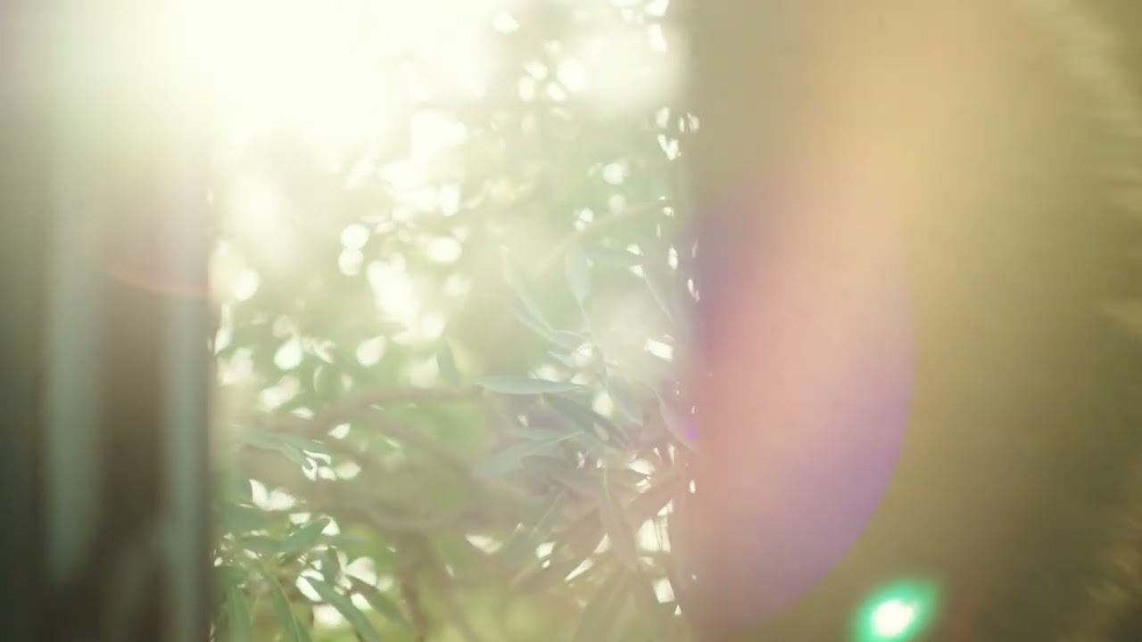 Guided Medition | Disidentification