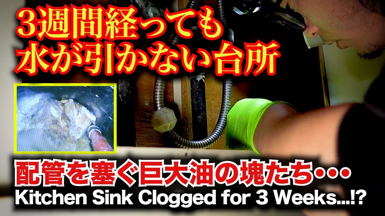 ビタビタに流れない！3週間流れない台所詰まりの原因は？｜Kitchen Sink Clogged for 3 Weeks! Grease Blockage Cleanup!
