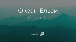Океан Ельзи - Не питай (cover)
