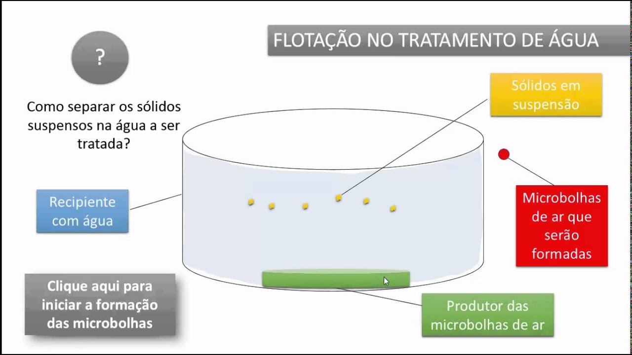 Explique O Que é E Como Atua A Seleção Natural