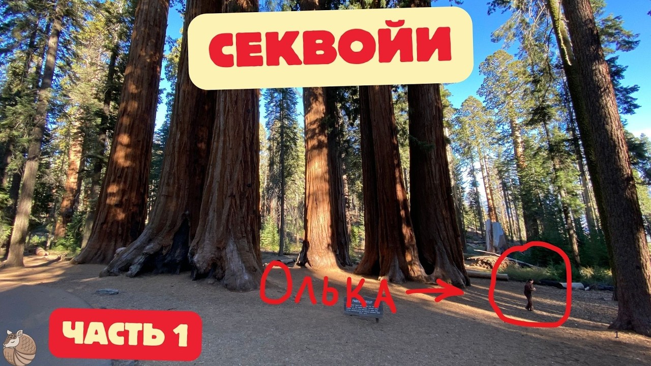 #080 Это какое-то безумство. До сих пор мы под впечатлением! Такого не бывает!!!!!