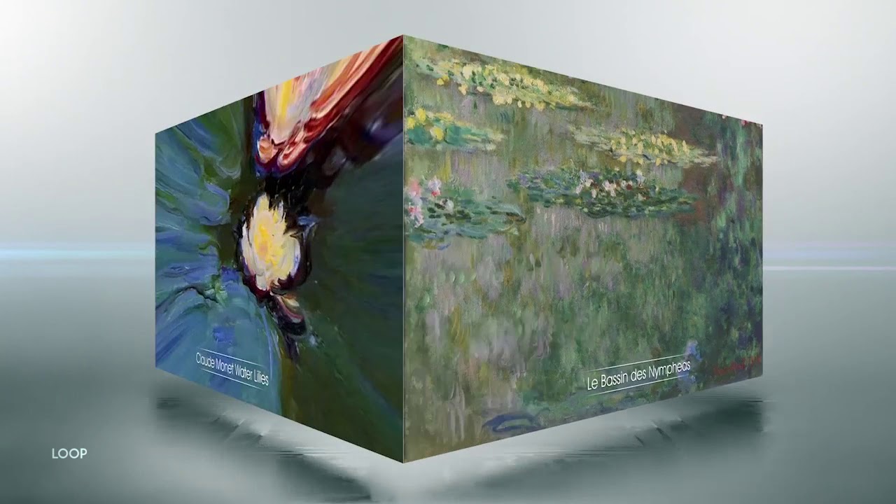 Metropolis Museum Art Loop Video