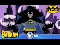 Long live the bat  the batman  dckids