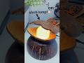 Easy make SHELL LAMP making with coconut shell craft ideas #youtubeshorts #shortsfeed #shorts #diy