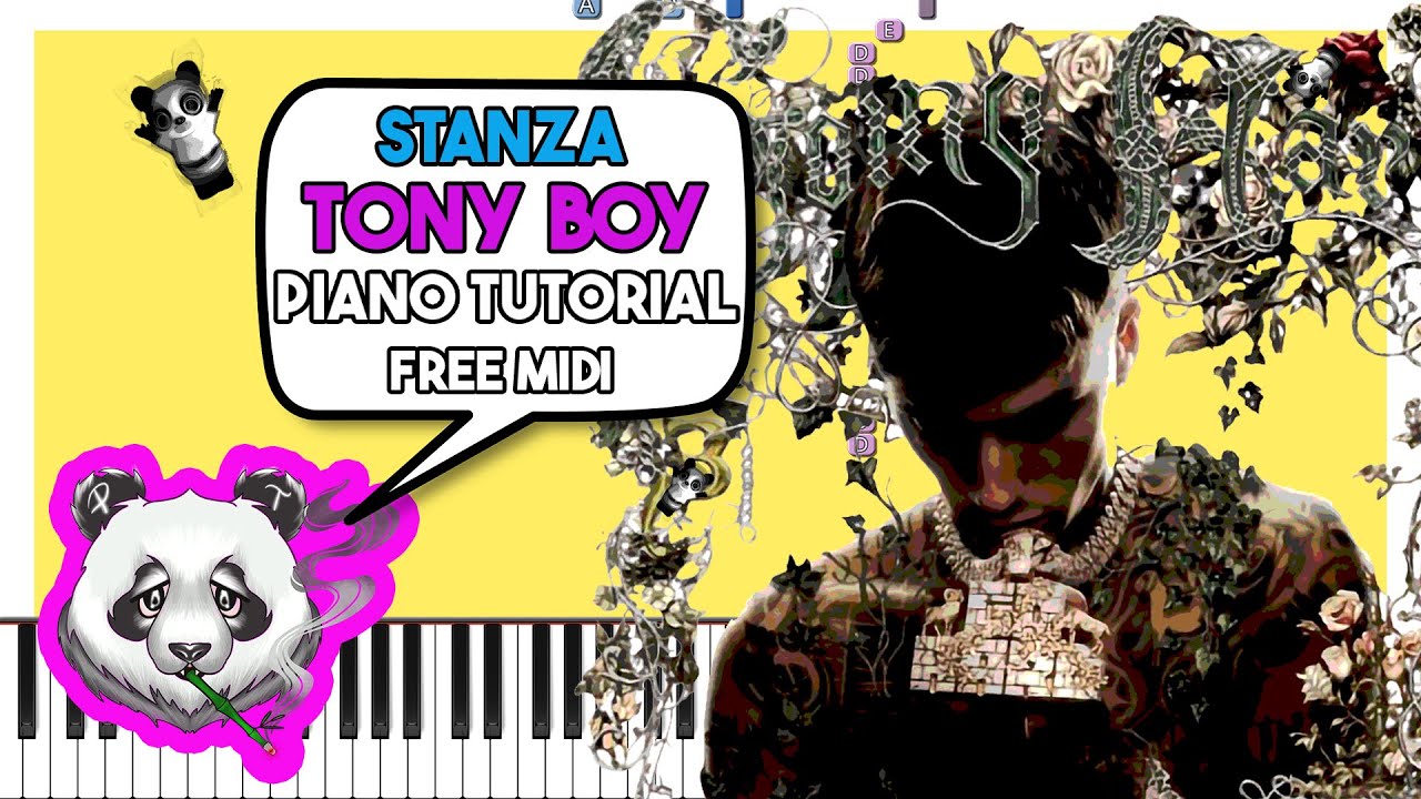 TONY BOY - STANZA - INSTRUMENTAL Piano Tutorial