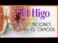 Video de El Higo