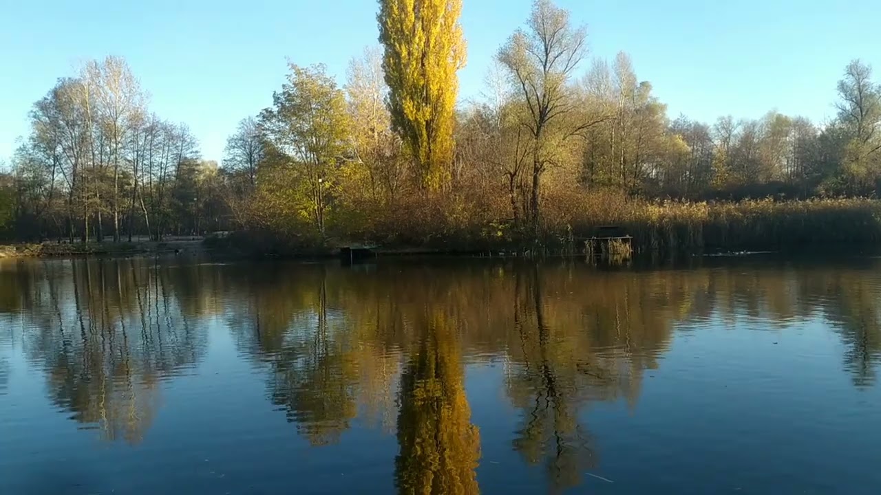 В зеленім саду (Вальс Кохання ❤)