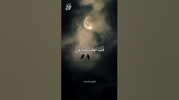 فَلَمَّا سَمِعَتْ بِمَكْرِهِنَّ  - القارئ محمد دياب #نفحات_شبان #محمد_دياب
