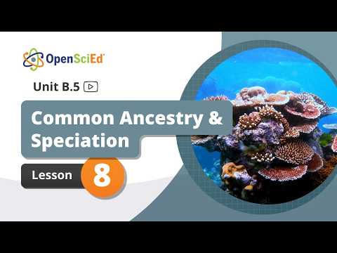 Unit B.5 Lesson 8 Planning Video | OpenSciEd On-Demand Resources