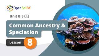 Unit B.5 Lesson 8 Planning Openscied On - Demand Resources