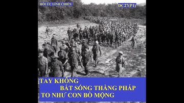 DC27(P1) TAY KHÔNG BẮT  SỐNG THẰNG  GIẶC PHÁP TO NHƯ BÒ MỘNG/ Hồi kí Trần Công An (642)