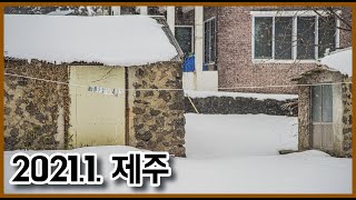 2021년 1월 제주(화잠가죽공방, 중문, 고군산, 산방산, 대방어, 성산일출봉, 비자림)