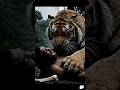 When Man Faced the Beast 🐅 | Echoes of Humanity Shorts