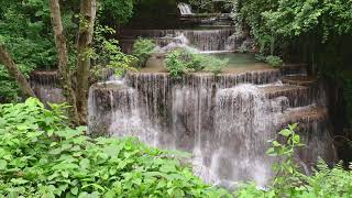 Música Calma de Flauta de Bambu Para Meditar Relaxar