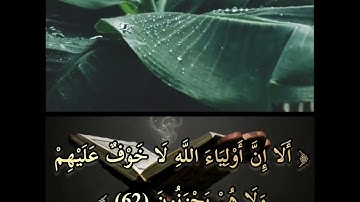 تلاوة خاشعة للشيخ ياسر الدوسري ( ألا إن أولياء الله لا خوف عليهم ولا هم يحزنون )