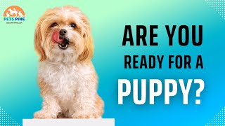 Before You Buy a Dog: The Must-Know Signs of Dog Readiness by Pets Pine 109 views 8 months ago 4 minutes, 25 seconds