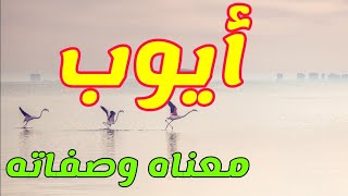 معنى اسم  أيوب وصفات من يحمل هذا الاسم !!