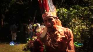 Hitoma Sangama - Naturagente
