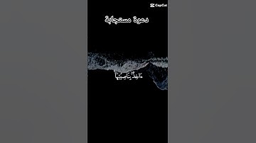 "استمع لآيات القرآن الكريم: نور وهداية لكل قلب"