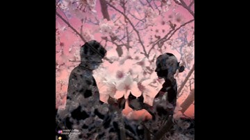 Borodin : Nocturne | String Quartet no. 2 D major | flute piano | Notturno #classicalmusic