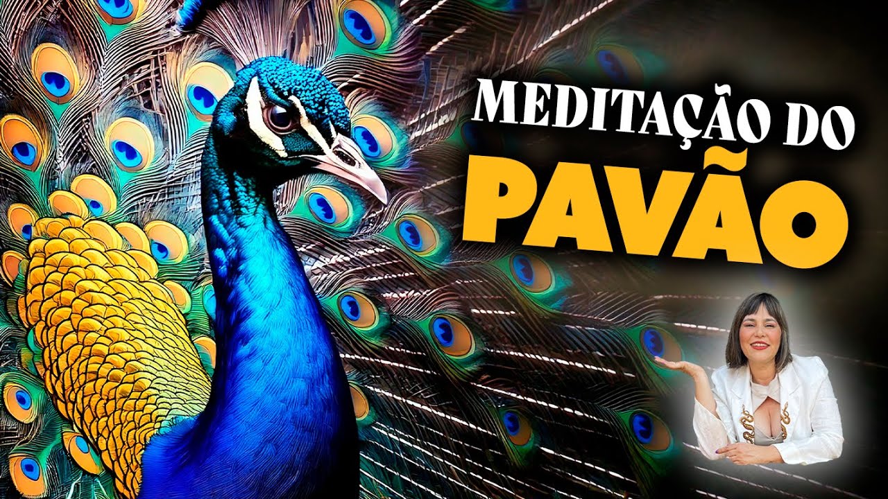Meditacao Do Pavão