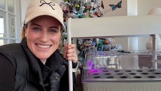 Starting Seeds In November?! | Vego Garden Indoor Garden 🪴 