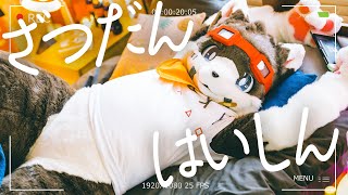 【雑談】はやく春が来てほしいね【配信】