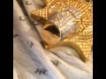 Chief Keef | Nasty [Instagram Video]