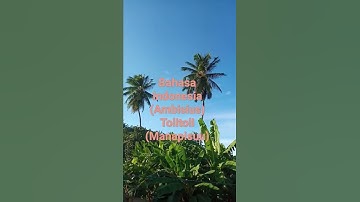 Bahasa Tolitoli