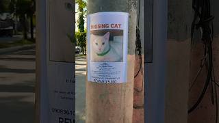 Tirang Kalsada ep 92: Missing #silentvlog #WalkTrip #tripniselo