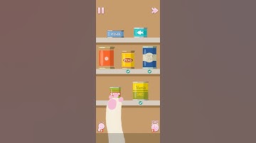 Perfect Tidy - Level 103