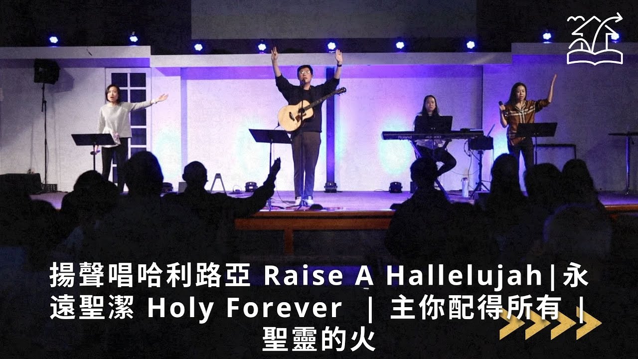 【揚聲唱哈利路亞 Raise A Hallelujah | 永遠聖潔 Holy Forever | 主你配得所有 | 聖靈的火】 敬拜讚美