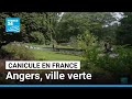 Canicule en France : comment Angers a végétalisé la ville pour lutter contre la chaleur