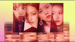 BlackPink- Really [English Cover Lyrics]